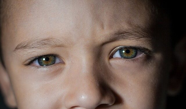 Retinoblastoma entenda o que é a doença Vida Tal