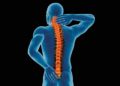 É possível prevenir a osteoporose?