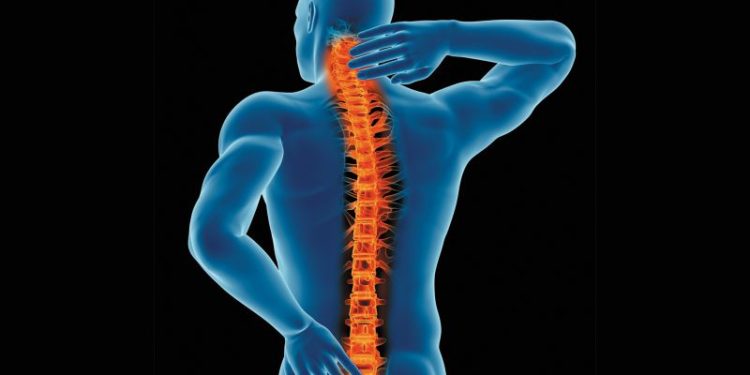 É possível prevenir a osteoporose?