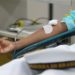 Saiba como doar de sangue de forma segura