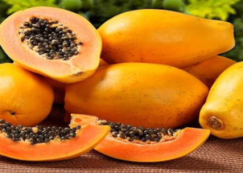 A eficácia do gel de papaína nos tratamentos odontológicos