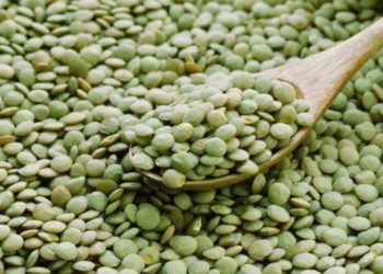 Lentilha para atrair sorte e boa saúde em 2021