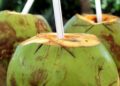 Os benefícios que vem do coco