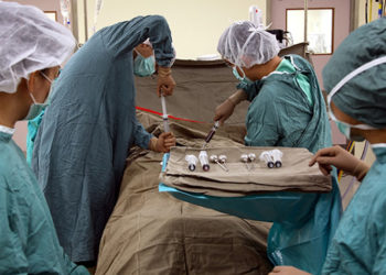 Você sabia que existem diferentes tipos de transplantes?