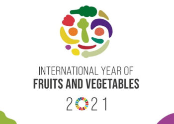 ONU estabelece 2021 como o Ano Internacional das Frutas e Vegetais