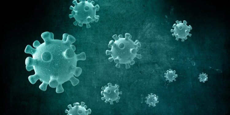 Variante brasileira é mais transmissível e pode causar reinfecção, diz estudo