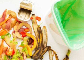 17% de todos os alimentos disponíveis para consumo são desperdiçados