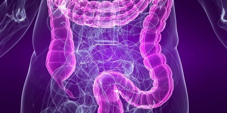 Maio Roxo alerta para doenças inflamatórias intestinais