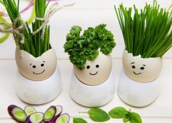 Psicobióticos: alimentos e suplementos contra a depressão