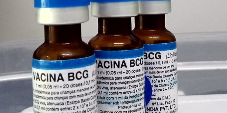 Estudo sobre eficácia da vacina BCG recruta voluntários em SP