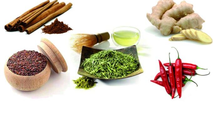 O que são alimentos termogênicos?