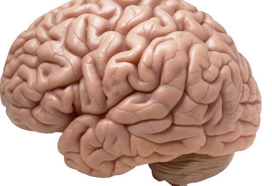 Como manter a saúde cerebral