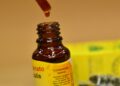 Os benefícios medicinais do extrato de própolis