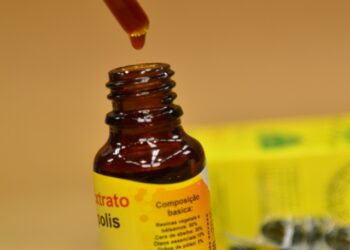 Os benefícios medicinais do extrato de própolis