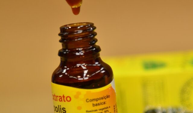 Os benefícios medicinais do extrato de própolis