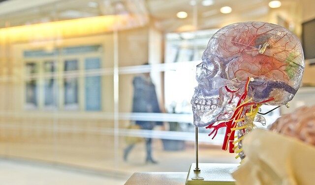 RN: Instituto do Coração de Natal é habilitado em alta complexidade para neurologia e neurocirurgia