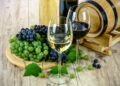 Uvas para vinho e suco são temas de palestra on-line nesta terça-feira (10)