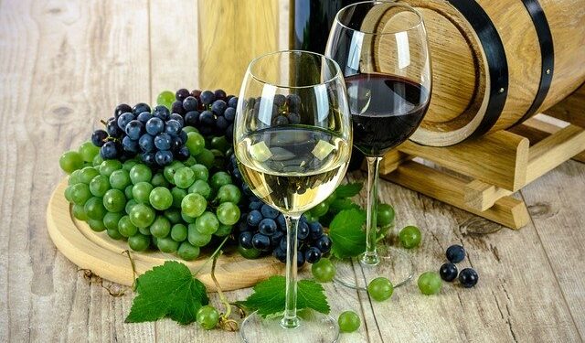 Uvas para vinho e suco são temas de palestra on-line nesta terça-feira (10)