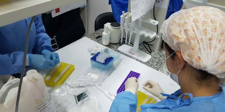 Descoberta da variante Mu pela UFMG confirma eficácia de método mais rápido e barato