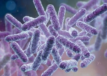 Púrpura Trombocitopênica Idiopática ou PTI