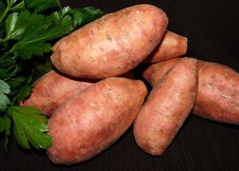 Qual melhor tipo de batata doce?