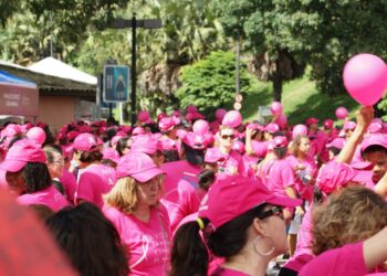 Câncer de mama e o apoio ao tratamento no SUS