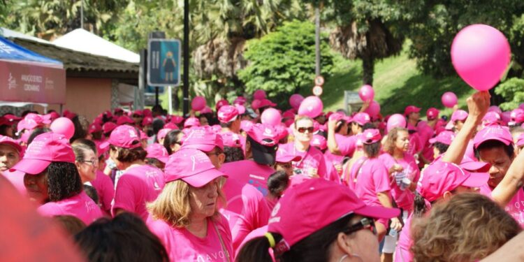 Câncer de mama e o apoio ao tratamento no SUS