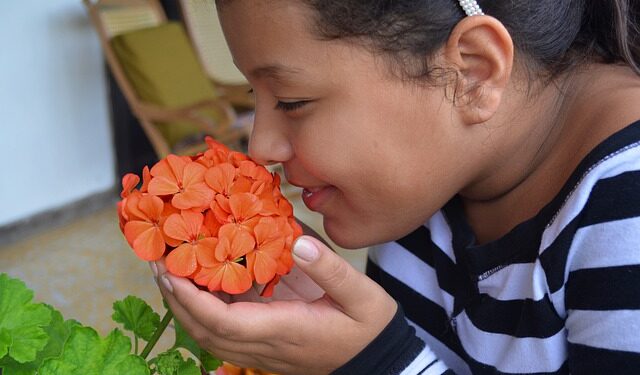 Moléculas de odor e os mistérios do cheiro