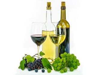 Vinho vegano: aprenda a diferenciá-lo