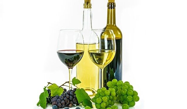 Vinho vegano: aprenda a diferenciá-lo