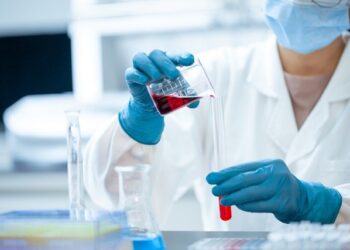 H3N2 Darwin: o vírus circulante no país