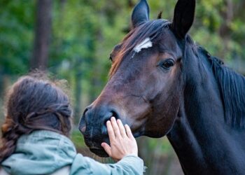 Una Linha Verde inicia projeto de Equoterapia
