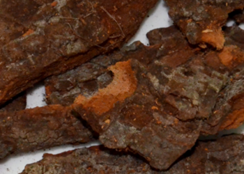 Pesquisa propõe gel anti-obesidade