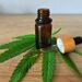 Cannabis para o tratamento do Espectro Autista