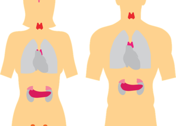 Tireoide e as chances de nódulo virar câncer