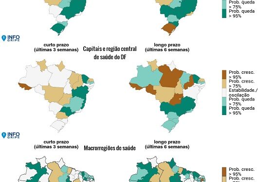 InfoGripe: casos de SRAG em queda no país