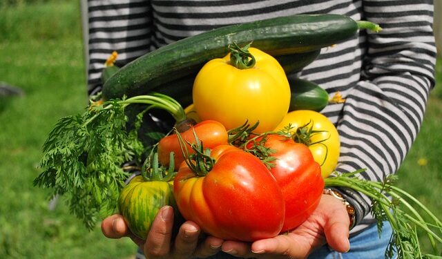 Alimentação saudável é mais barata, diz estudo