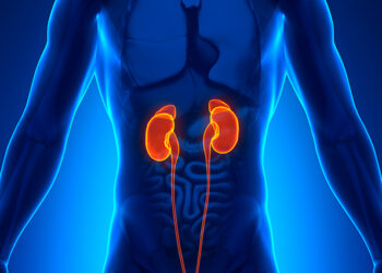 Dia Mundial do Rim (DMR) 2022