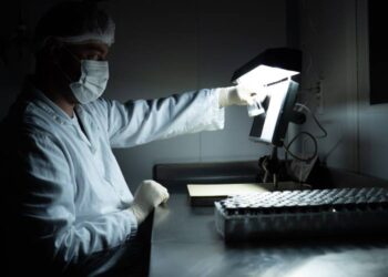 Vacina da dengue chega a fase 3 pelo Butantan