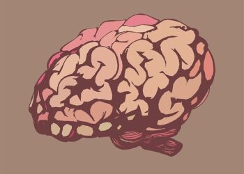 Meningoencefalite, Meningite e Encefalite