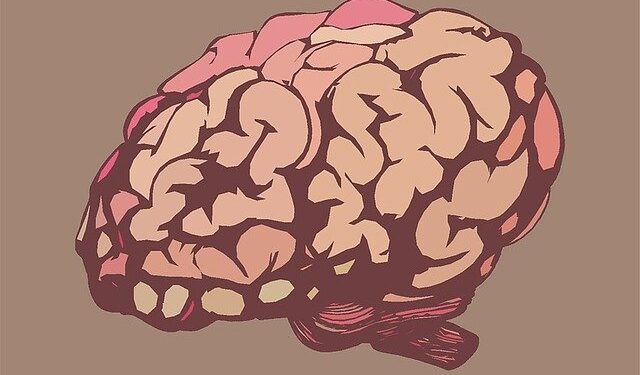 Meningoencefalite, Meningite e Encefalite