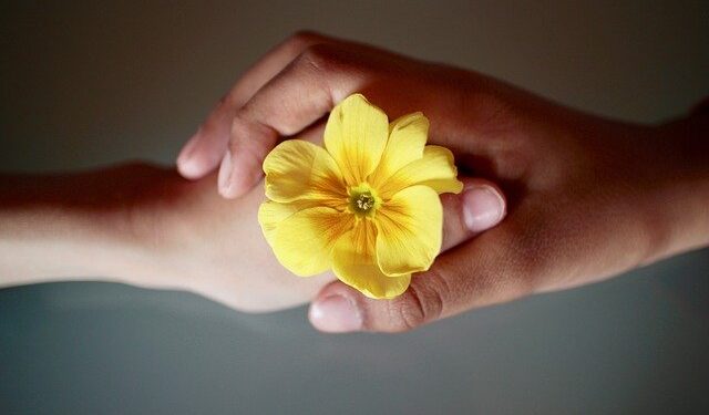 Março Amarelo: alerta sobre endometriose