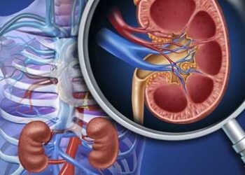 6 dicas para manter os rins saudáveis