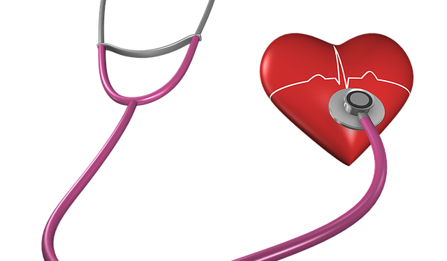 Colesterol: o que você precisa saber