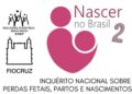 Nascer no Brasil: perdas, partos e nascimentos