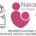Nascer no Brasil: perdas, partos e nascimentos