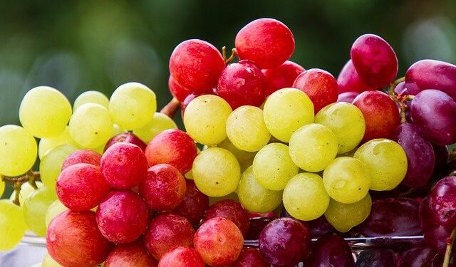 Uva: entenda por que você deve comer