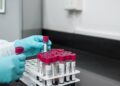 INCA reforça pedido de doação de sangue