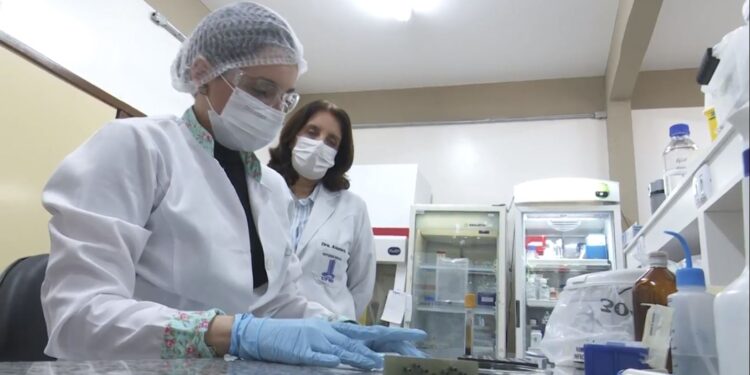 Novo método de diagnóstico da PCM