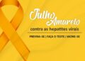 Luta contra Hepatites Virais